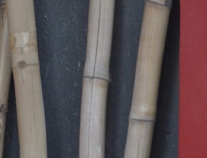 CANTING